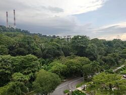 springdale-condominium photo thumbnail #2